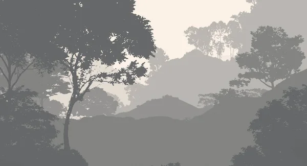 Fondo Abstracto Con Árboles Niebla Neblina Forestal —  Fotos de Stock