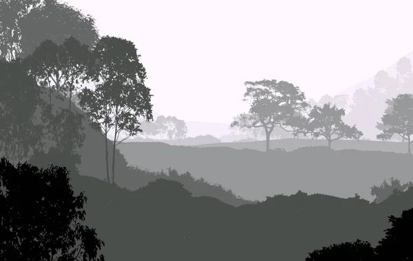 Abstracte Achtergrond Met Bomen Mist Bos Nevel — Stockfoto