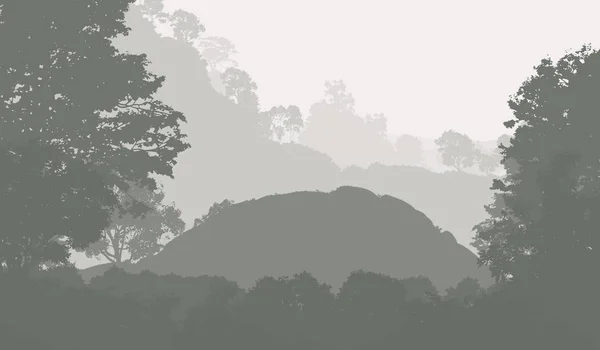 霧と森林ヘイズの木を持つ抽象的な背景 — ストック写真