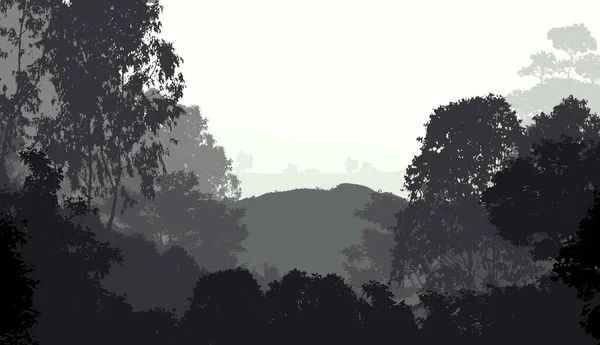Fondo Abstracto Con Árboles Niebla Neblina Forestal — Foto de Stock