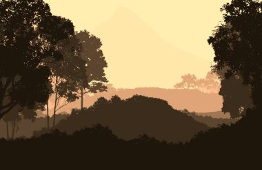 Sis ve orman pus ağaçları ile soyut arka plan.