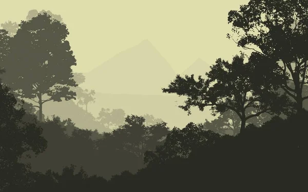 Fundo Abstrato Com Árvores Neblina Neblina Florestal — Fotografia de Stock