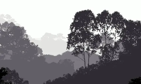 Streszczenie Tła Drzewami Mgle Zamglenie Lasu — Zdjęcie stockowe