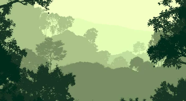 Fondo Abstracto Con Árboles Niebla Neblina Forestal —  Fotos de Stock