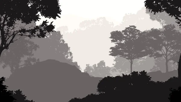 Streszczenie Tła Drzewami Mgle Zamglenie Lasu — Zdjęcie stockowe