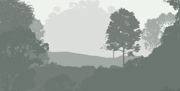 霧と森林ヘイズの丘を持つ抽象的な背景 — ストック写真
