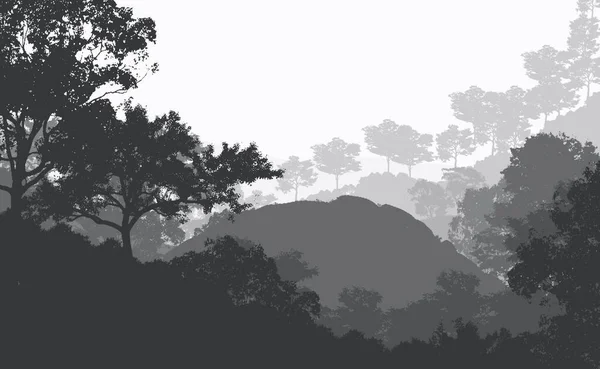 Абстрактний Фон Пагорбами Тумані Лісовим Туманом — стокове фото