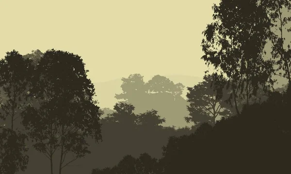 Abstract Background Hills Fog Forest Haze — Stock Photo, Image