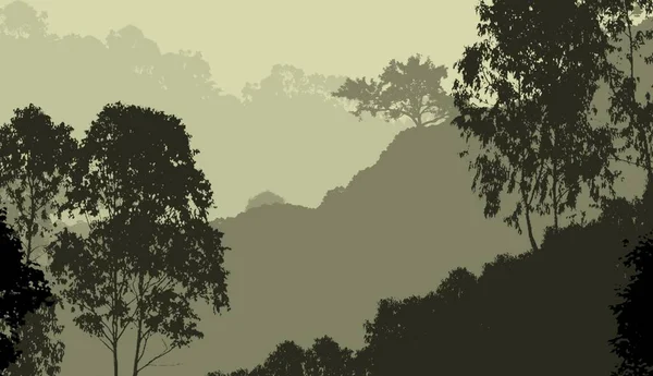 Abstract Background Hills Fog Forest Haze — Stock Photo, Image