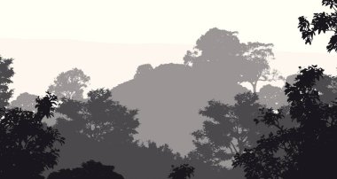 Sis ve orman pus tepeleri ile soyut arka plan.