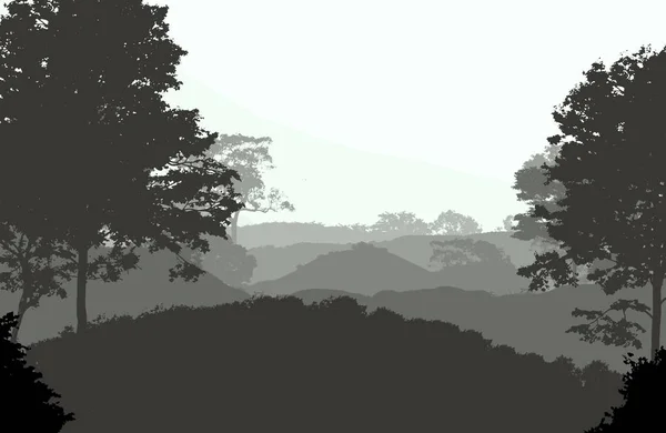 Fundo Abstrato Com Colinas Neblina Neblina Florestal — Fotografia de Stock