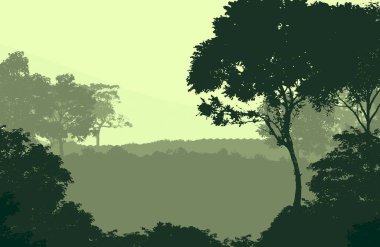 Sis ve orman pus tepeleri ile soyut arka plan.