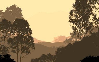 Sis ve orman pus sisli dağlar ile soyut arka plan.