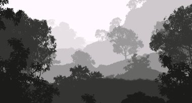 Sis ve orman pus sisli dağlar ile soyut arka plan.