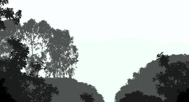 Sis ve orman pus sisli dağlar ile soyut arka plan.