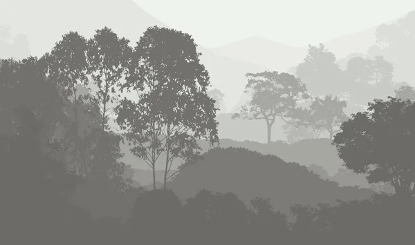 Abstract Background Hills Fog Forest Haze — Stock Photo, Image