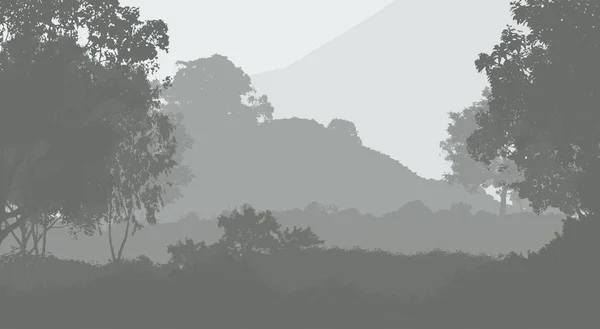 Αφηρημένο Φόντο Βουνά Ομίχλη Και Ομίχλη Δάσους — Φωτογραφία Αρχείου