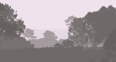 Sis ve orman pus sisli dağlar ile soyut arka plan.