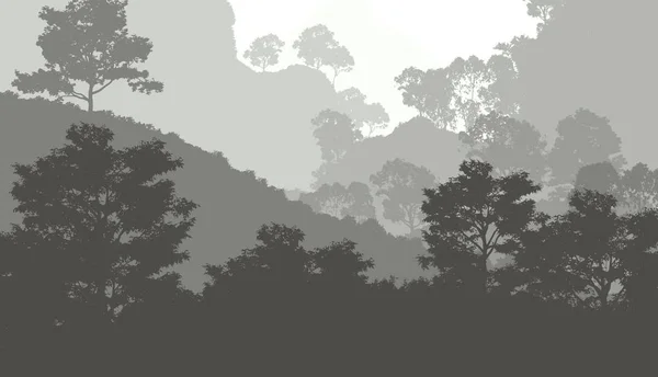 Streszczenie Tła Mglistych Gór Mgle Lasu Mgła — Zdjęcie stockowe