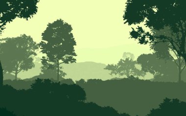 Sis ve orman sis sisli dağlar ile soyut zemin.