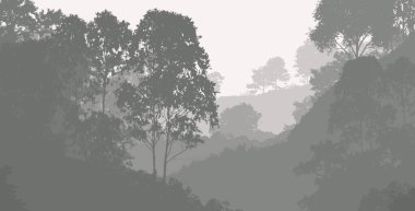 Sis ve orman sis sisli dağlar ile soyut zemin.