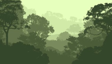 Sis ve orman sis sisli dağlar ile soyut zemin.