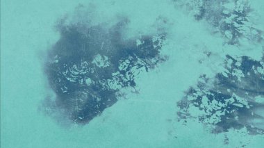 metin için alanı olan grunge arkaplanı