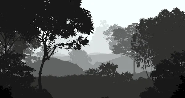 霧と森林ヘイズの霧の山々と抽象的な背景 — ストック写真