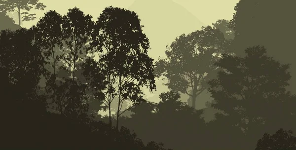 Abstrakcyjne Tło Mglistych Gór Mgle Lasu Mgła — Zdjęcie stockowe