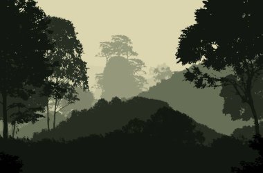 Sis ve orman sis sisli dağlar ile soyut zemin.