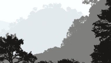 Sis ve orman sis sisli dağlar ile soyut zemin.