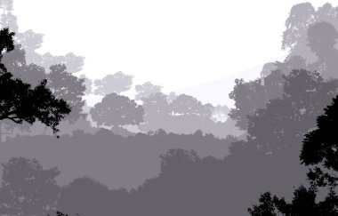 Sis ve orman sis sisli dağlar ile soyut zemin.