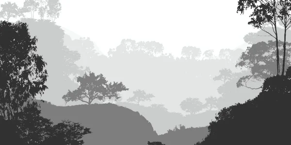 Abstrakcyjne Tło Mglistych Gór Mgle Lasu Mgła — Zdjęcie stockowe