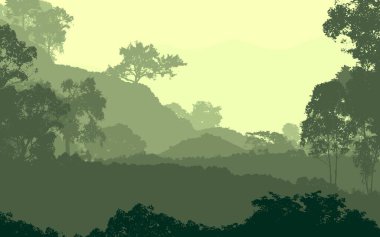 Sis ve orman sis sisli dağlar ile soyut zemin.