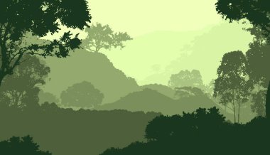 Sis ve orman sis sisli dağlar ile soyut zemin.