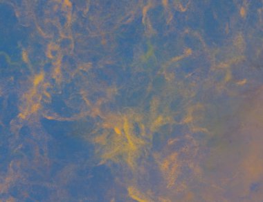 metin için alanı olan grunge arkaplanı