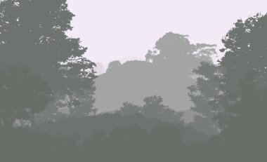 Sis ve orman sis sisli dağlar ile soyut zemin.