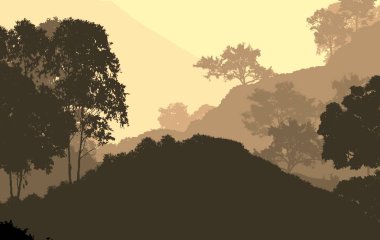 Sis ve orman sis sisli dağlar ile soyut zemin.