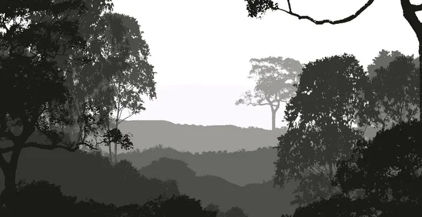 Abstrakti Tausta Usvainen Vuoret Sumussa Metsän Usvassa — kuvapankkivalokuva