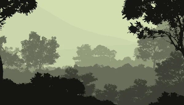 雾雾和森林阴霾中雾山的抽象背景 — 图库照片