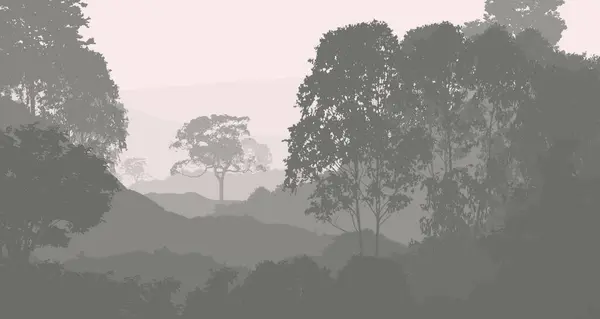 雾雾和森林阴霾中雾山的抽象背景 — 图库照片