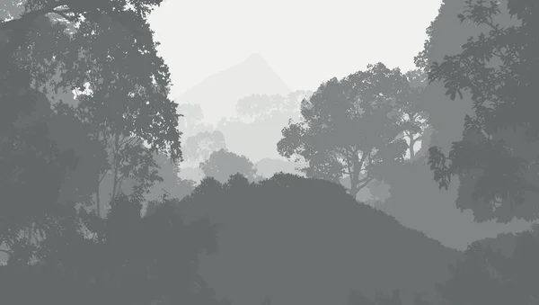 Абстрактний Фон Туманними Горами Тумані Лісовому Тумані — стокове фото