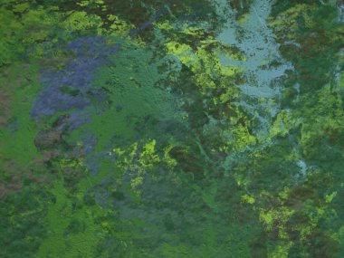 metin veya resim alanı olan Grunge arka plan