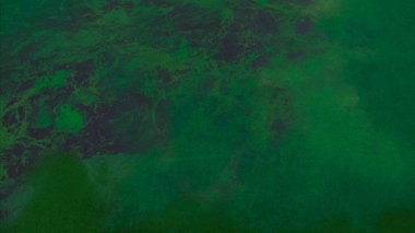 Boya lekeleriyle soyut arkaplan 