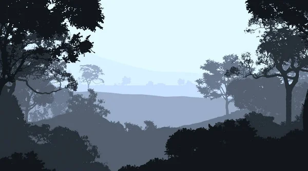 Абстрактный Занос Туманными Шипами Тумане Лесной Дымке — стоковое фото