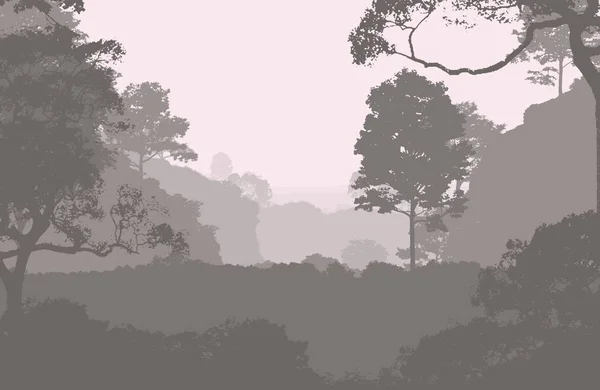 Абстрактний Фон Туманними Пагорбами Тумані Лісовому Тумані — стокове фото