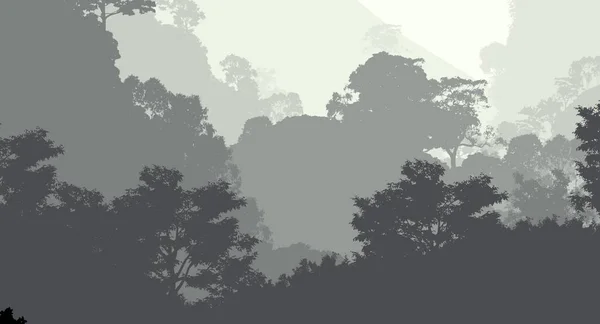 Fundal Abstract Dealuri Cețoase Ceață Ceață Forestieră — Fotografie, imagine de stoc