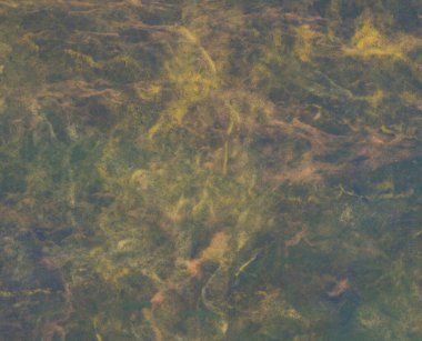 metin için alan ile renkli mermer doku ile soyut arka plan