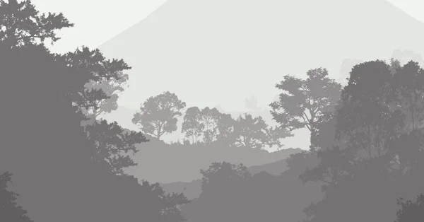 Abstrakt Bakgrund Med Dimmiga Kullar Dimma Och Forest Haze — Stockfoto