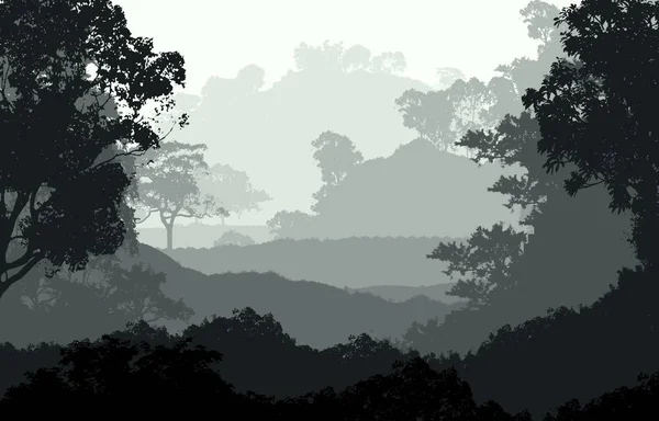 Абстрактный Занос Туманными Шипами Тумане Лесной Дымке — стоковое фото
